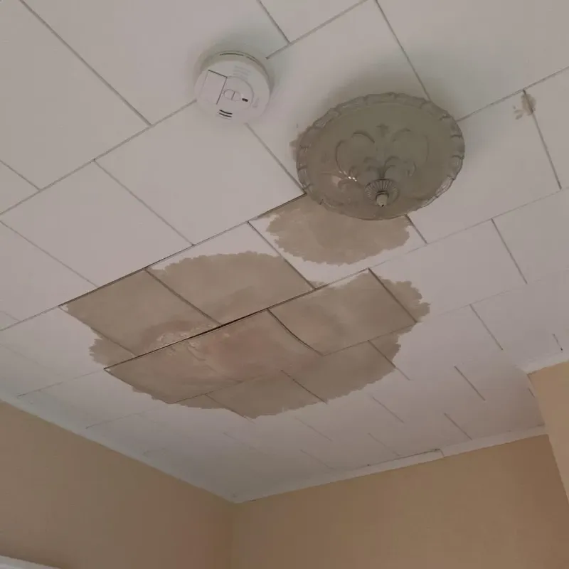 Ceiling Water Damage Repair in Montgomery, VT