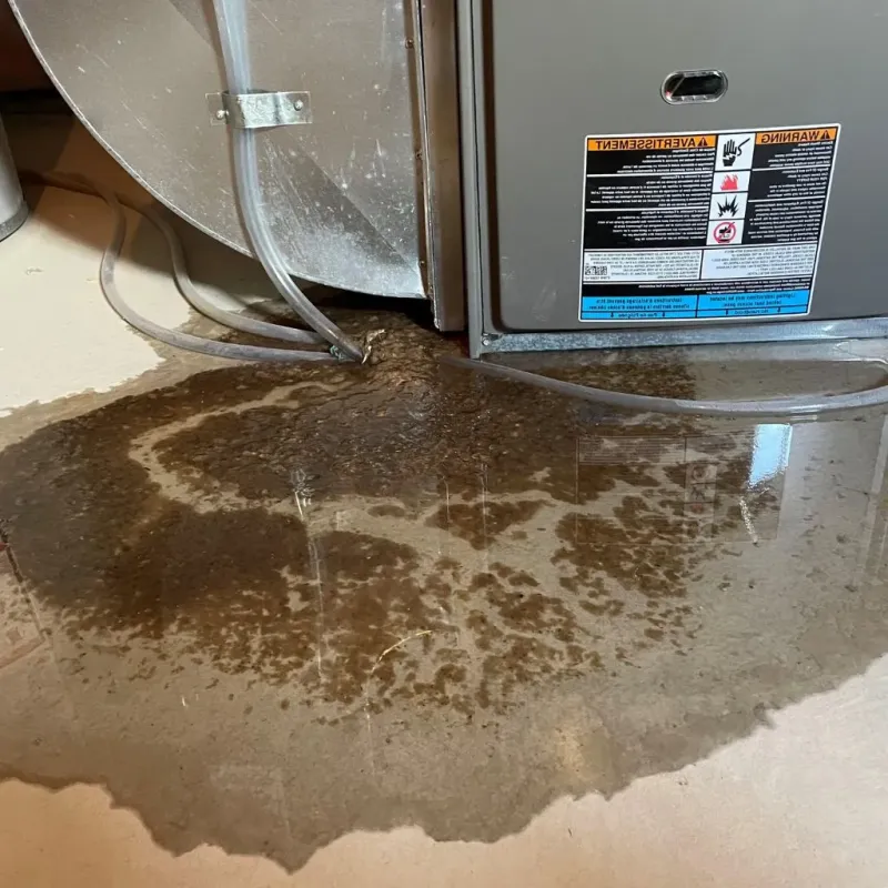 Pipe Burst and Leak Restoration in Montgomery, VT